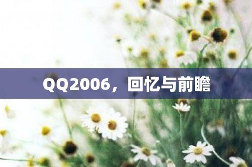 QQ2006图片