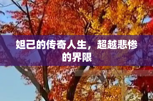 妲己的传奇人生图片