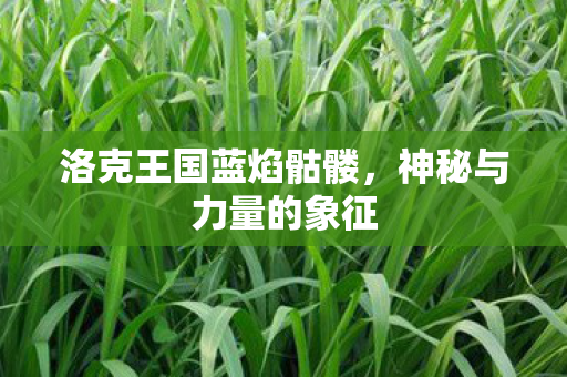 洛克王国蓝焰骷髅图片