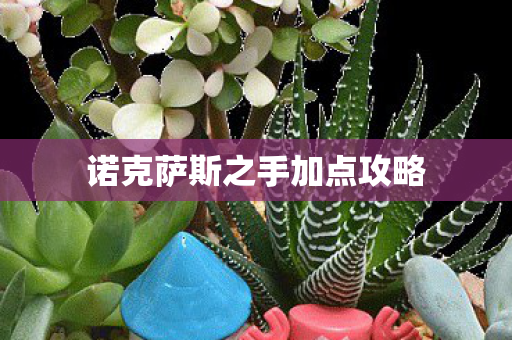 诺克萨斯之手加点攻略图片