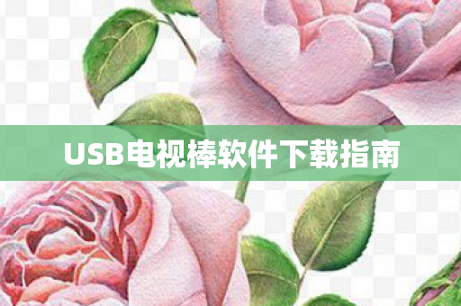 USB电视棒软件下载指南图片