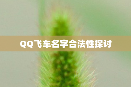 QQ飞车名字合法性探讨图片