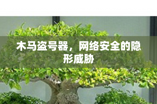 网络安全的隐形威胁图片