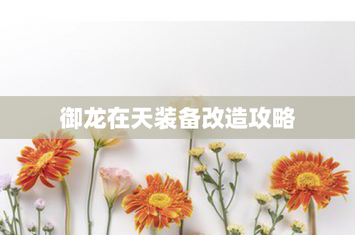 御龙在天装备改造攻略图片