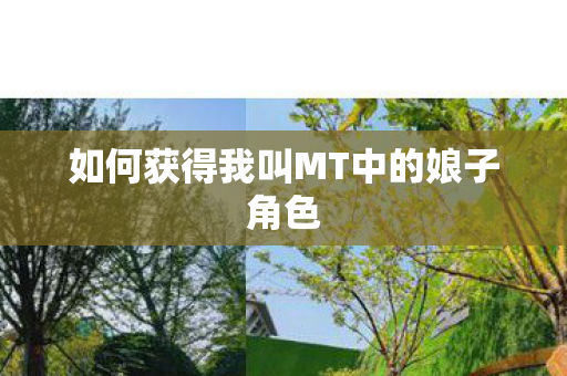 如何获得我叫MT中的娘子角色图片
