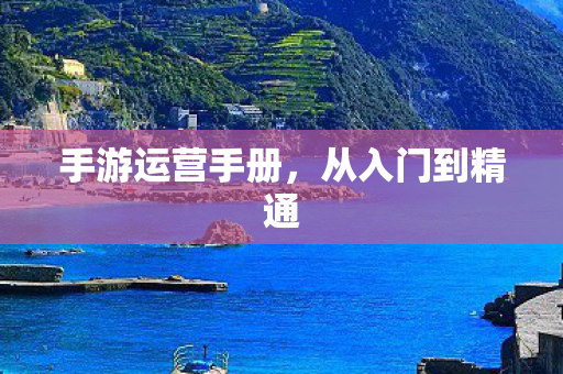 手游运营手册图片