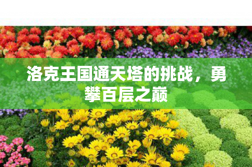 洛克王国通天塔的挑战图片