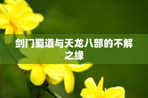 剑门蜀道与天龙八部的不解之缘图片