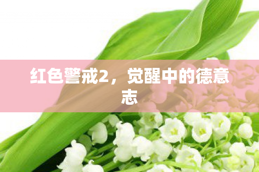 觉醒中的德意志图片