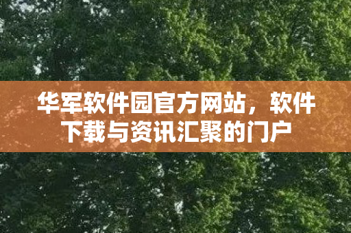 软件下载与资讯汇聚的门户图片
