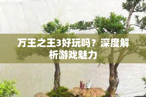 万王之王3好玩吗图片