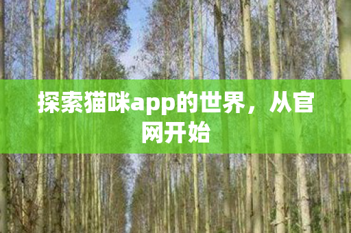 探索猫咪app的世界图片