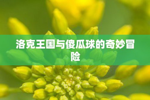 洛克王国与傻瓜球的奇妙冒险图片