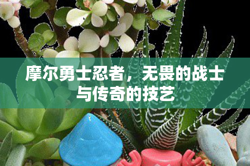无畏的战士与传奇的技艺图片