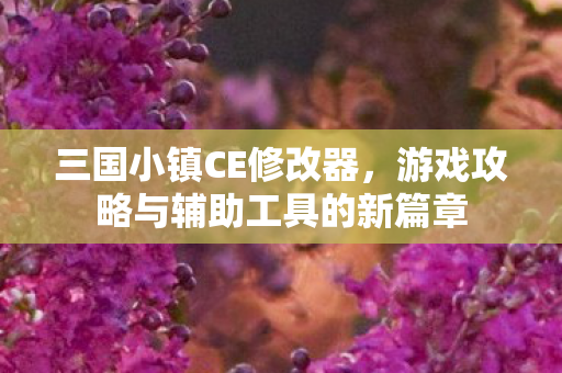 游戏攻略与辅助工具的新篇章图片
