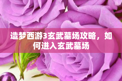造梦西游3玄武墓场攻略图片