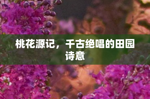 千古绝唱的田园诗意图片