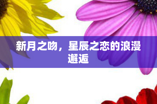 星辰之恋的浪漫邂逅图片