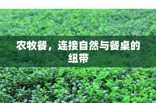 连接自然与餐桌的纽带图片