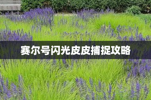 赛尔号闪光皮皮捕捉攻略图片