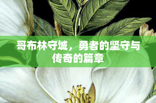 勇者的坚守与传奇的篇章图片