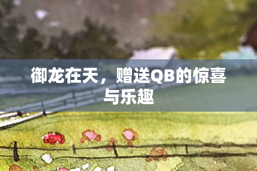 赠送QB的惊喜与乐趣图片
