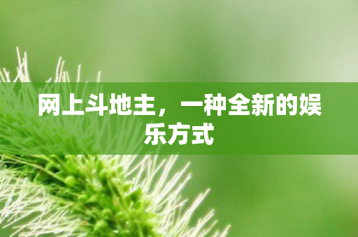 一种全新的娱乐方式图片