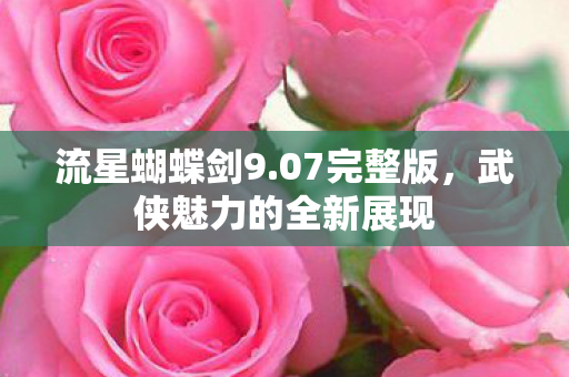 武侠魅力的全新展现图片