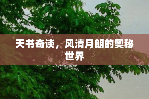 风清月朗的奥秘世界图片