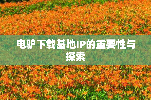 电驴下载基地IP的重要性与探索图片