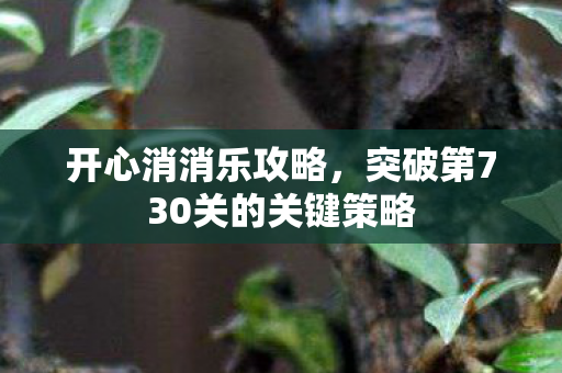 突破第730关的关键策略图片