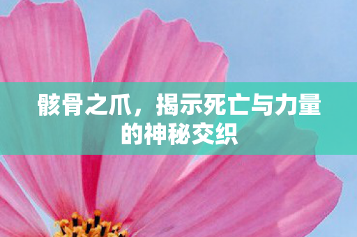 揭示死亡与力量的神秘交织图片