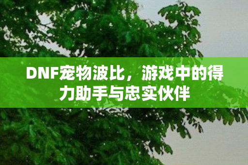 游戏中的得力助手与忠实伙伴图片