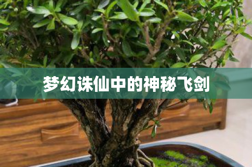 梦幻诛仙中的神秘飞剑图片