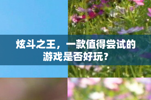 一款值得尝试的游戏是否好玩图片