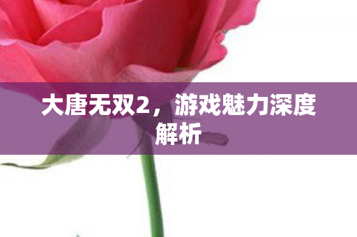 游戏魅力深度解析图片