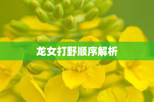龙女打野顺序解析图片