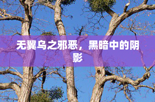 无翼乌之邪恶图片