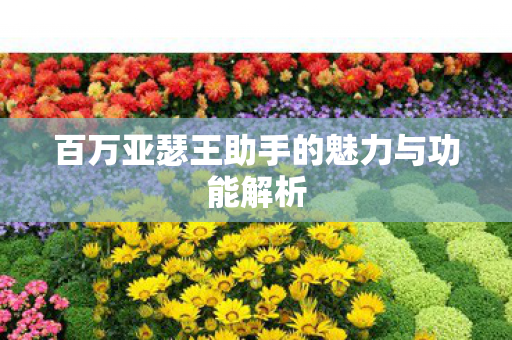 百万亚瑟王助手的魅力与功能解析图片
