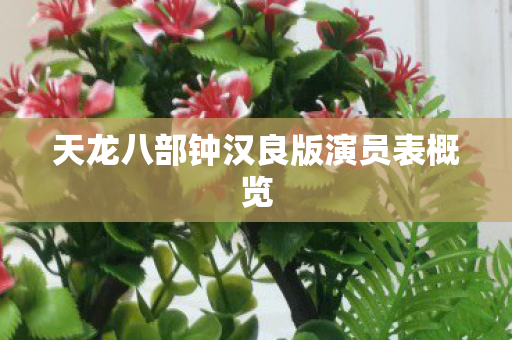 天龙八部钟汉良版演员表概览图片