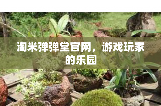 淘米弹弹堂官网图片