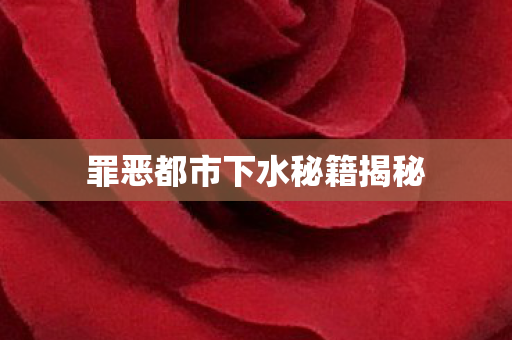 罪恶都市下水秘籍揭秘图片