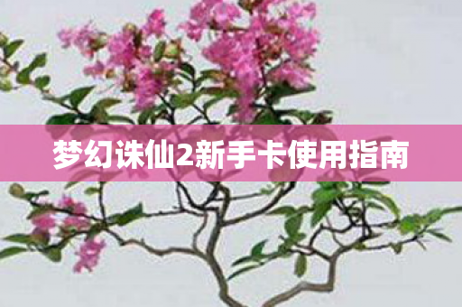 梦幻诛仙2新手卡使用指南图片