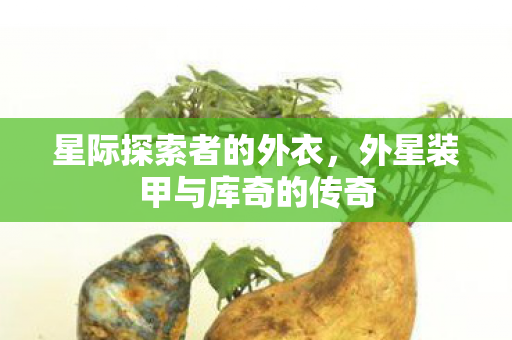 外星装甲与库奇的传奇图片