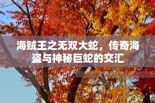 传奇海盗与神秘巨蛇的交汇图片