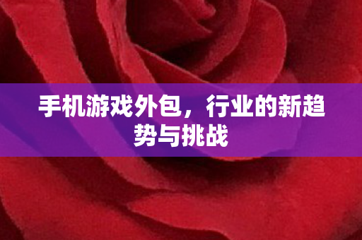行业的新趋势与挑战图片