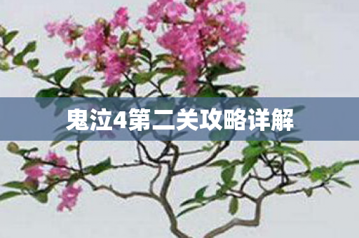 鬼泣4第二关攻略详解图片