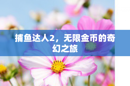无限金币的奇幻之旅图片