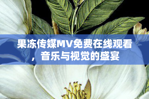 果冻传媒MV免费在线观看图片