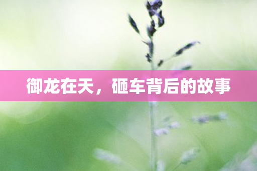 砸车背后的故事图片